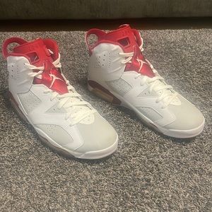 Air Jordan 6 alternate